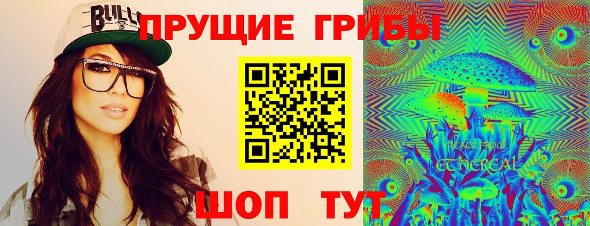 Клинцы  Псилоцибиновые грибы GOLDEN TEACHER  Вход с VPN 